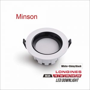 DL54 Downlight