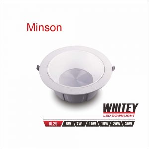 DL88 Downlight