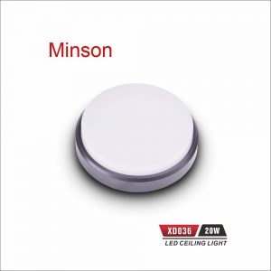 XD036 Ceiling Light